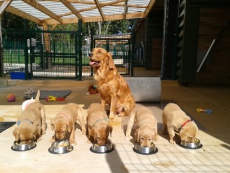 nursery 