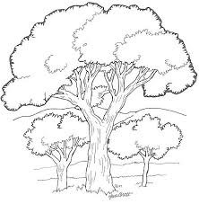 arbres